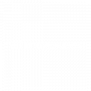 Logo nicko cruises